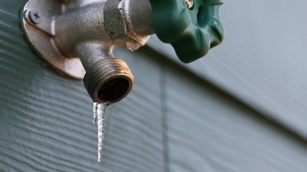 Best Commercial Plumbing Services  in Palm Beach, FL